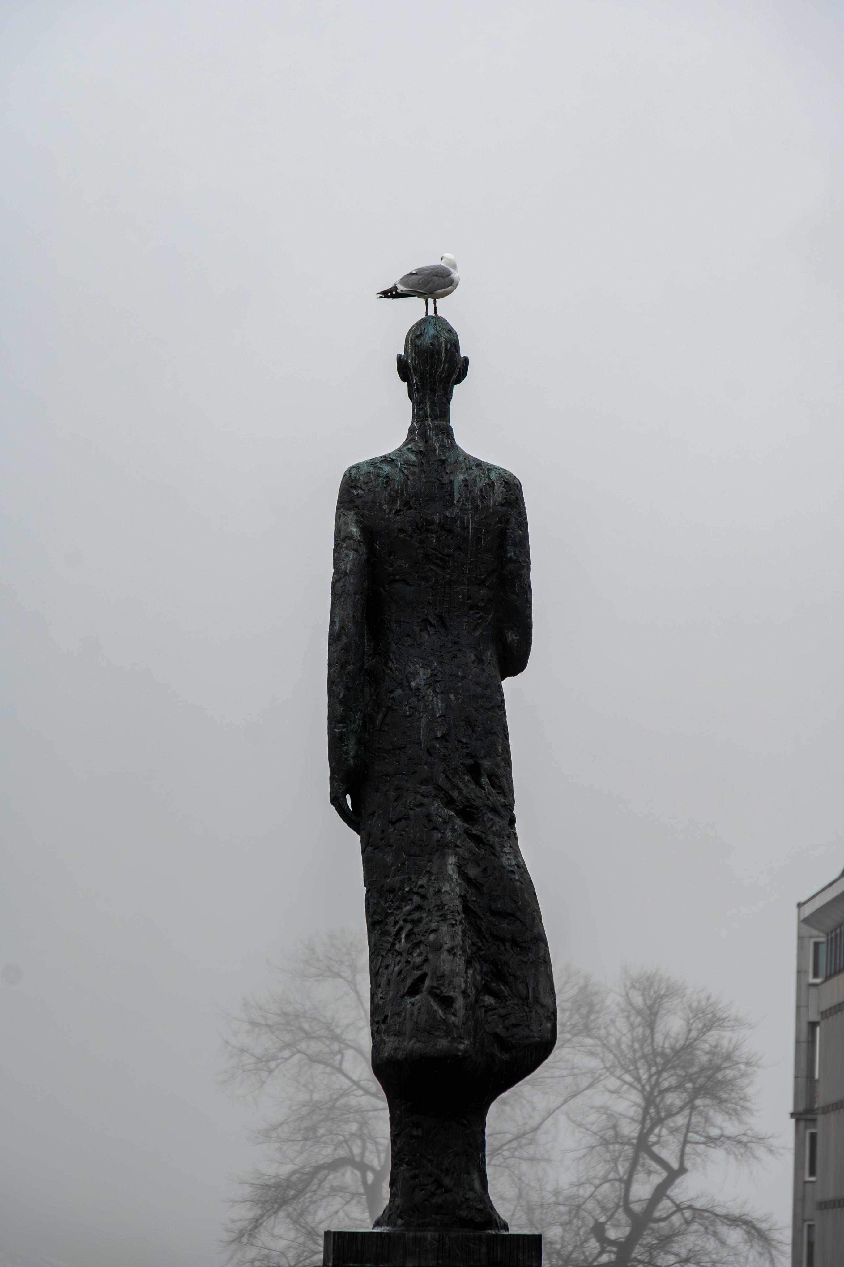 Photo 42